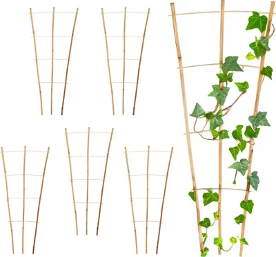 Produktbild von 3.08 Bambus Pflanzenstütze ca. 75x35 cm in natur - 6 Stück - Rankgitter Pflanzenkletterhilfe (2x 3 Stück)