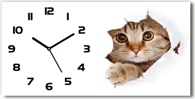 Produktbild von Wanduhr aus Glas – 60x30 cm - Glasbild - Glasuhr - Gehärtetes Glas - schwarze-zeiger - Katze