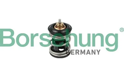 Produktbild von Borsehung Thermostat Kühlmittel für VW Golf VII Schrägheck (5G1, BQ1, BE1, BE2) Polo Schrägheck (6R1, 6C1) Passat Variant (3G5, CB5) TIGUAN (5N)