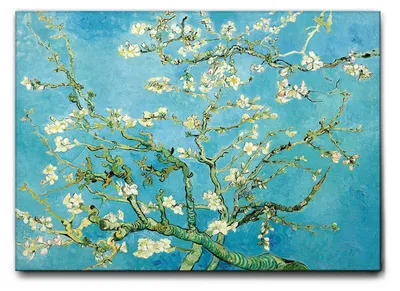 Immagine prodotto di Vincent Van Gogh - Fiori di mandorlo - 50L x 35l cm - Quadro Tela Canvas Telaio Standard