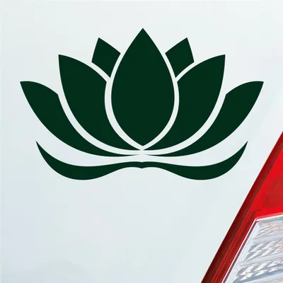 Produktbild von Auto Aufkleber Lotusblüte Lotus Blüte Blume Pflanze Seerose 16x10 cm Dunkelgrün Sticker Heckscheibenaufkleber