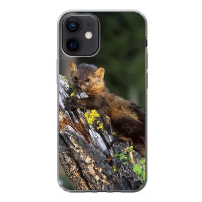 Produktbild von MuchoWow® Handyhülle Schutzhülle Hülle für iPhone 12 Marder - Baum - Wald Silikon Softcase Handy Hülle - Schutzhülle