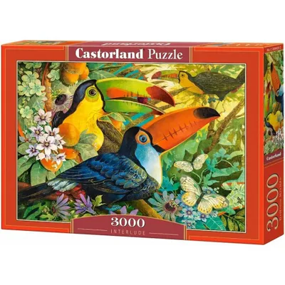 Image de Castorland Interlude, puzzle de 3000 pièces