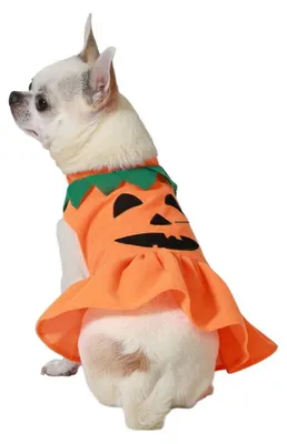 Immagine prodotto di Costume da cane da zucca taglia M