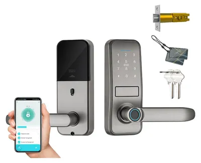 Smart Türschloss mit Fingerabdruck, Code, App & Karte