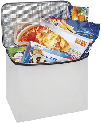 Produktbild von WEDO Kühltasche 16,5 L h.grau 4003801858135