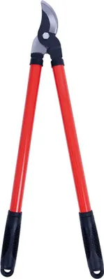 Image de Sécateur d'élagage