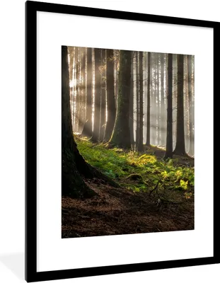 Produktbild von MuchoWow® Gerahmtes Poster Sonne - Äste - Bäume - Wald - Natur 60x80 cm - Poster mit Schwarzem Bilderrahmen Wandposter Rahmen Foto Bilder - Wohnzimmer - Dekorationen - Prämie