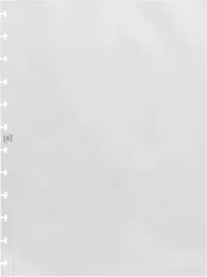 A single clear plastic sheet protector with punched holes on the left side.