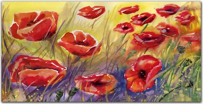 Produktbild von Coloray Bild aus Leinwand 100x50 Leinwand Dekoration - Blumen Pflanzen Mohn