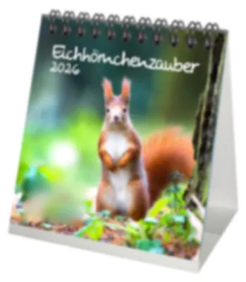 Produktbild von Eichhörnchenzauber Tischkalender 10cm x 10cm für 2026 Eichhörnchen - Geschenkset Inhalt: 1x Kalender 1x Weihnachtsanhänger 1x Grußanhänger (gesamt 3 Teile)