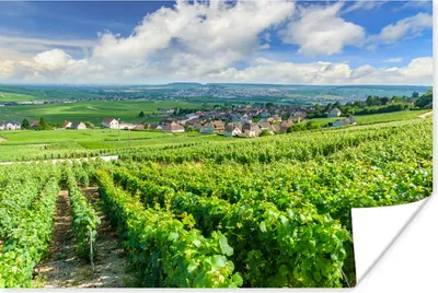 Produktbild von MuchoWow® Poster Landschaft mit einem Weinberg in Frankreich 30x20 cm - Plakate - Print