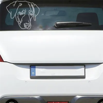 Produktbild von Auto Aufkleber Labrador LABI Labbi Hund Dog Hundekopf Hundefreund 15x13 cm Milchglas Sticker Heckscheibenaufkleber