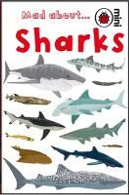 Image de Les requins en folie