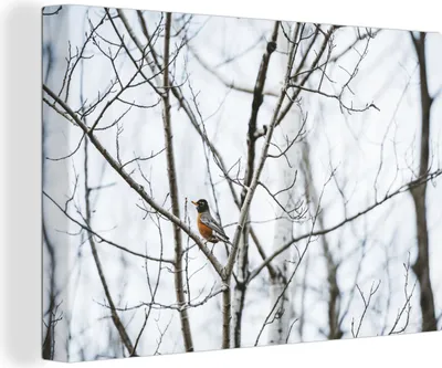 Produktbild von OneMillionCanvasses® - Leinwandbilder - 140x90 cm, Vogel in den Bäumen, Wandbilder Kunstdruck Wanddekoration