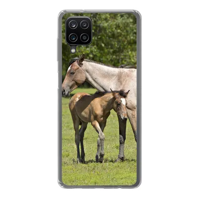 Produktbild von MuchoWow® Handyhülle Schutzhülle Hülle für Samsung Galaxy A12 Pferde - Gras - Schatten Silikon Softcase Handy Hülle - Bild