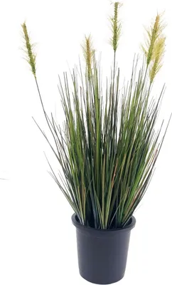 Produktbild von künstliches Gras in schwarzem Topf  H. 45cm grün gelb Emerald Zimmerpflanze