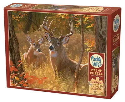 Produktbild von COBBLE HILL Puzzle Geheimtreffen XL 275 Teile