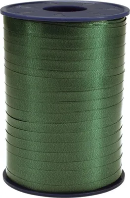 Image de PRÄSENT 2525035 Ruban à bandes - 5 mm x 500 m, vert foncé