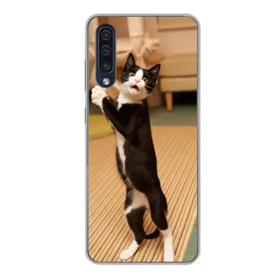 Produktbild von MuchoWow® Handyhülle Schutzhülle Hülle für Samsung Galaxy A50 Katze - Wohnzimmer - Schwarz Silikon Softcase Handy Hülle - Mobiltelefonhülle