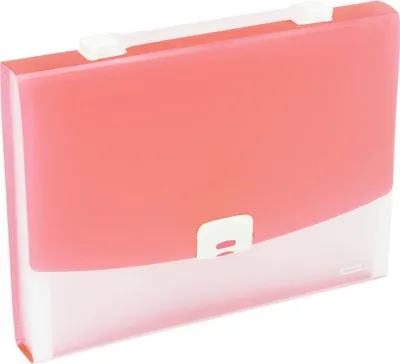 Produktbild von Fächermappe A4 13 Fächer rosa 5902156005135