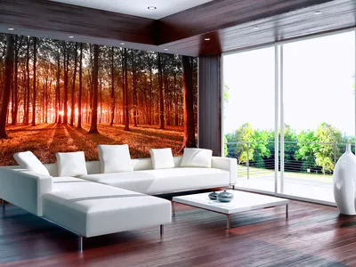 Produktbild von Vlies Fototapete Wald 350x256 cm Tapeten Wandtapete XXL Sonnenschein Bäume Natur Landschaft c-B-0027-a-d