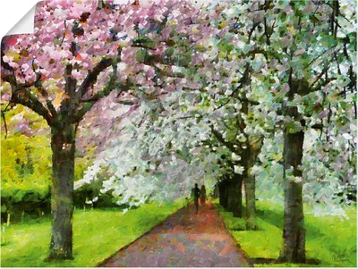Produktbild von ARTland Poster Blühende Kirschen Größe: 120x90 cm