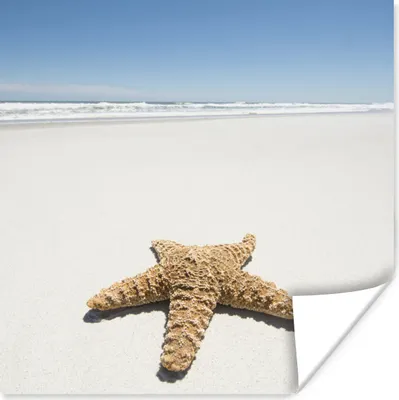 Produktbild von MuchoWow® Poster Seestern - Strand - Himmel 75x75 cm - Wand Dekoration