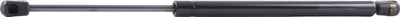Produktbild von RIDEX 219G0291 Gasfeder Heckklappendämpfer für FIAT Sedici (FY) 445mm