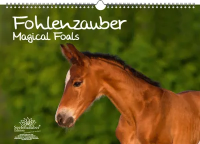 Produktbild von Fohlenzauber DIN A3 Kalender - Immerwährender Kalender  Pferde und Fohlen - Seelenzauber