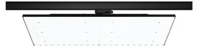 Produktbild von Paulmann ProRail3 LED Panel Deck