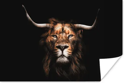 Produktbild von MuchoWow® Poster Löwe - Horn - Schwarz 90x60 cm - Schlafzimmer