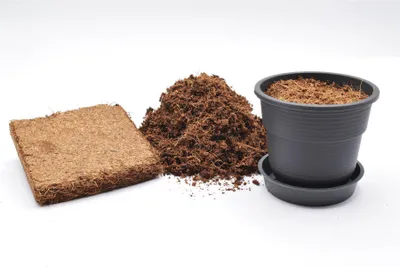 Produktbild von 20 Stück Anzuchttöpfe mit Kokoserde Ø 8 cm Durchmesser mit Untersetzer