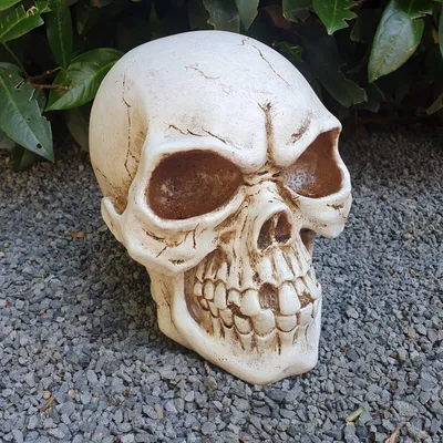 Immagine prodotto di Statua da giardino Teschio 17 cm