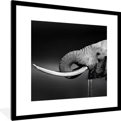 Produktbild von MuchoWow® Gerahmtes Poster Elefant - Wasser - Tiere - Schwarz - Weiß 40x40 cm - Poster mit Schwarzem Bilderrahmen Wandposter Rahmen Foto Bilder - Poster - Plakat im Rahmen