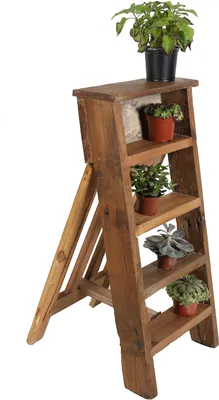 A wooden stepladder shelf unit with several potted plants on its shelves.