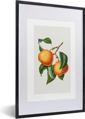 Produktbild von MuchoWow® Gerahmtes Poster Lebensmittel - Orange - Obst 40x60 cm - Poster mit Schwarzem Bilderrahmen Wandposter Rahmen Foto Bilder - Poster in Rahmen