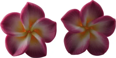 Produktbild von Ohrringe - Blume 8