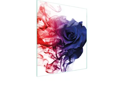Produktbild von Glas Schneidebrett Rosenmotiv 45x52 cm kratzfest hitzebeständig spülmaschinenfest hygienisch