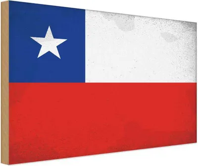 Produktbild von vianmo Holzschild 20x30 cm Chile Vintage Flagge Fahne Wappen