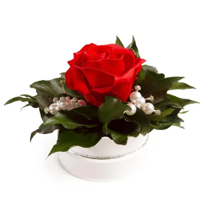 Image de Rosemarie Schulz Boîte avec rose éternelle Rouge Diamonds & Pearls