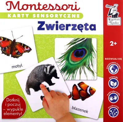 Produktbild von Edgard PAP Montessori Karty sensoryczne Zwierzęta dla dzieci od 2 lat