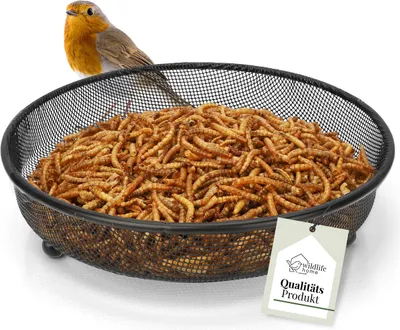 Produktbild von WILDLIFE HOME Futterschale Vögel Ø18cm, Metall I Bodenfutterstelle, Boden-Futterstation, Boden-Futterspender für Vögel I Vogelfutterspender für Vogelfutter Wildvögel ganzjährig