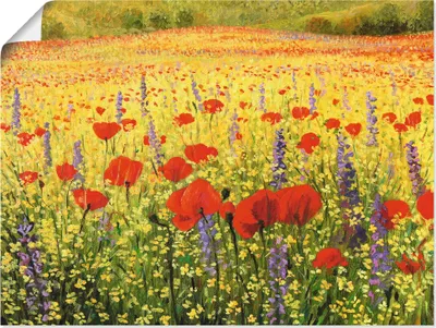 Produktbild von ARTland Poster Mohnblumenfeld Größe: 120x90 cm