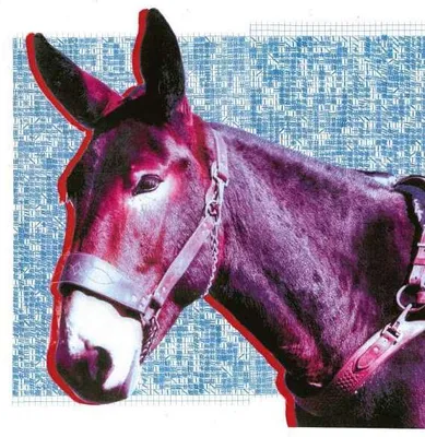 Obrázek produktu pro Protomartyr: (Digisleeve) - Domino - (CD / Titel: Q-Z)