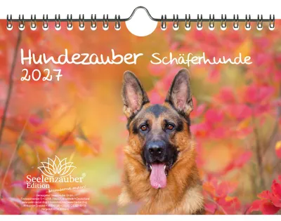 Produktbild von Hundezauber Schäferhunde DIN A5 Kalender für 2027 Welpen und Hunde - Seelenzauber
