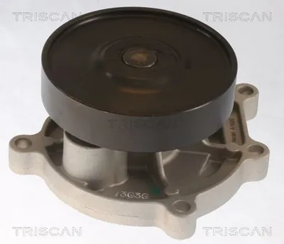 Produktbild von TRISCAN Wasserpumpe, Motorkühlung 8600 11062