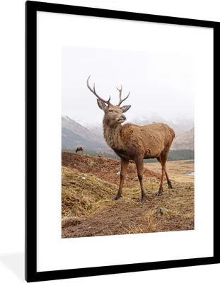 Produktbild von MuchoWow® Gerahmtes Poster Hirsche - Berge - Natur 60x80 cm - Poster mit Schwarzem Bilderrahmen Wandposter Rahmen Foto Bilder - Wohnzimmer - Dekorationen - Prämie