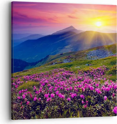 Produktbild von Bild auf Leinwand - Leinwandbild - Wiese Berge Landschaft - 40x40cm - Wand Bild - Wanddeko - Leinwanddruck - Bilder - Kunstdruck - Wanddekoration - Leinwand bilder - Wandkunst - AC40x40-2676