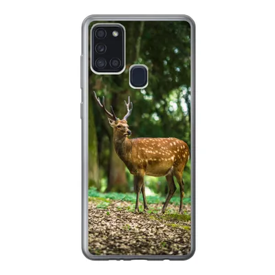Produktbild von MuchoWow® Handyhülle Schutzhülle Hülle für Samsung Galaxy A21s Rotwild - Wald - Tier Silikon Softcase Handy Hülle - Hartschale